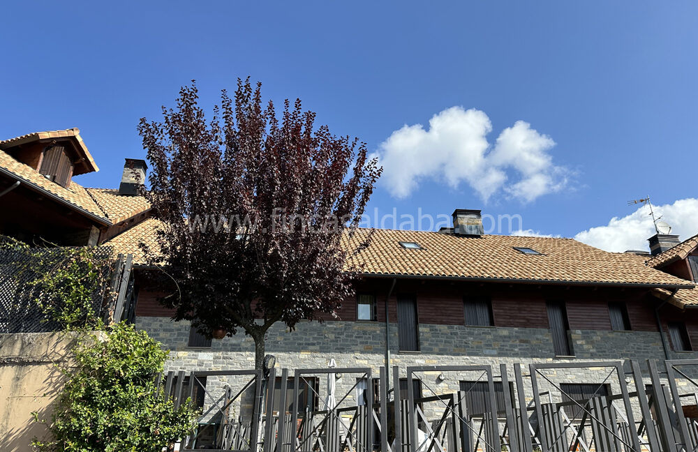 IMG_4913 copie