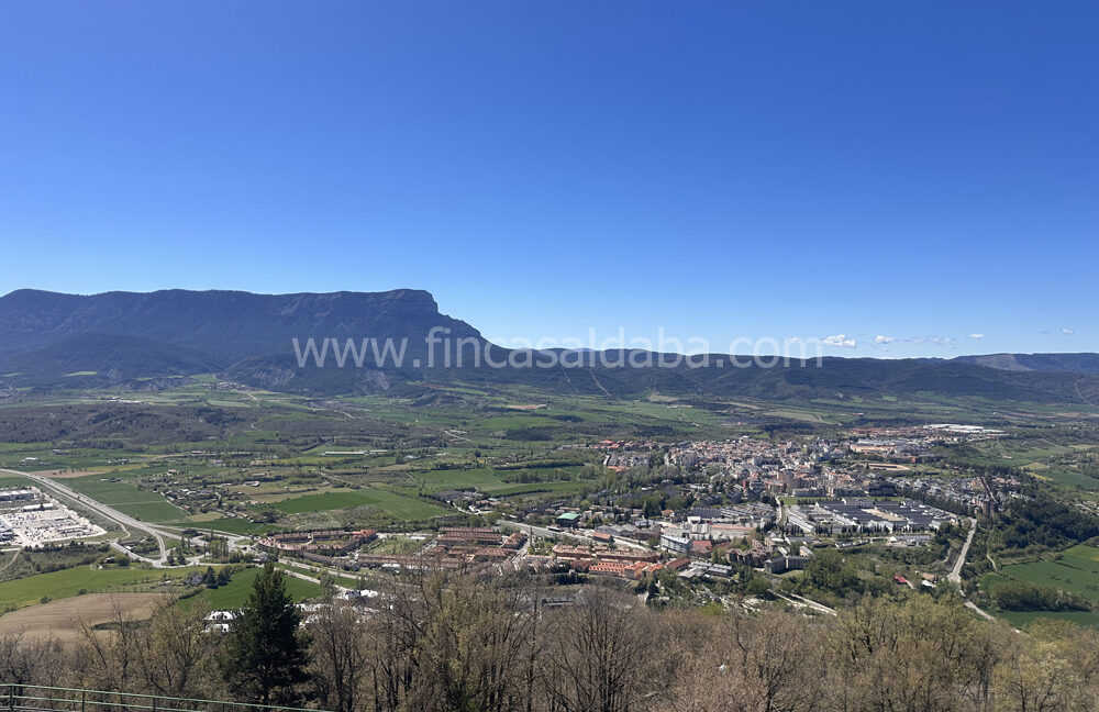 IMG_8042 copie