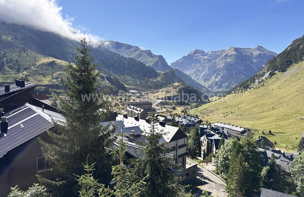 IMG_9071 copie