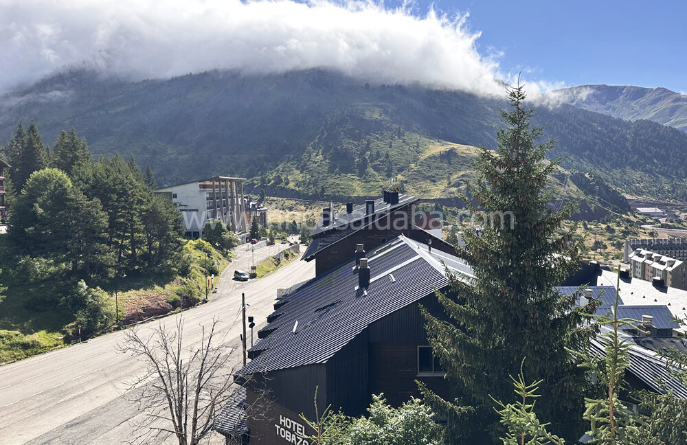 IMG_9072 copie